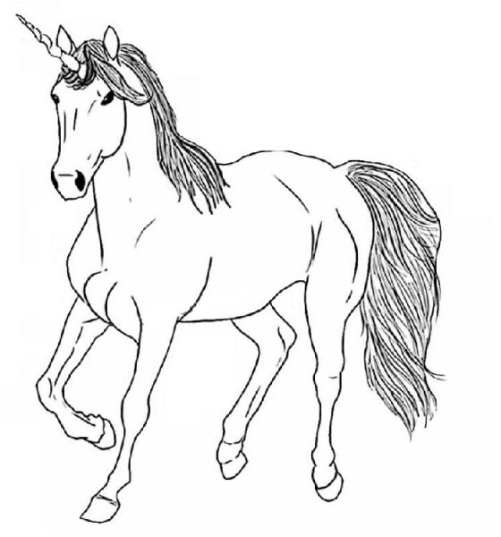 Единорог карандашом для детей