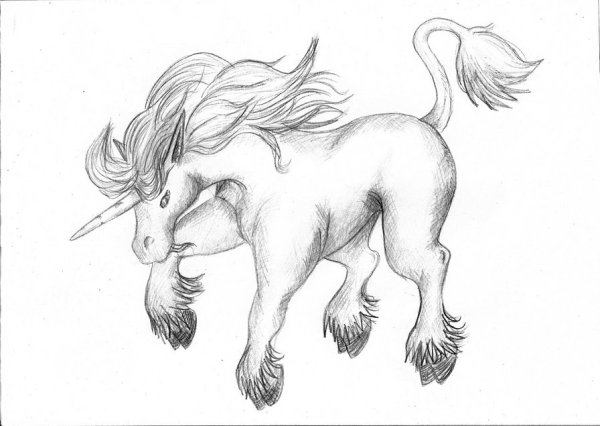 Единорог рисунок для срисовки