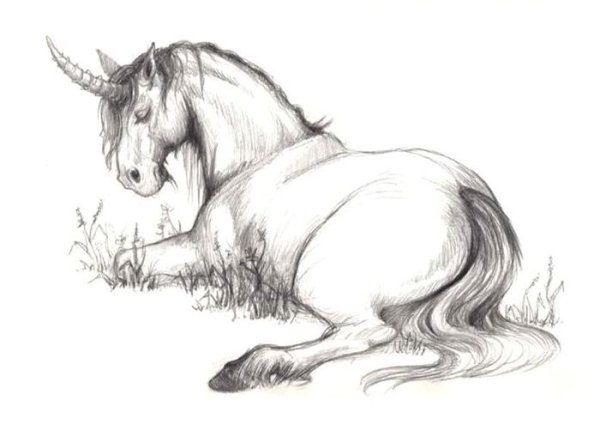 Единорог рисунок карандашом