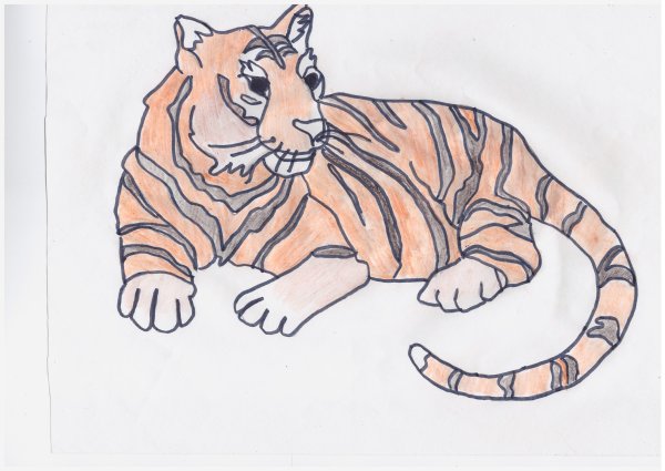 Как рисовать тигра поэтапно карандашом