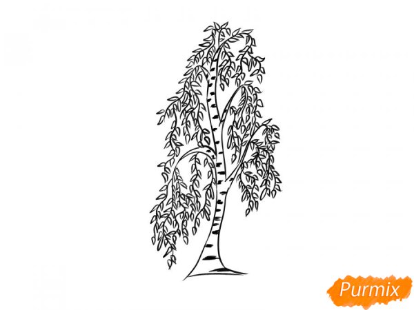Береза раскраска