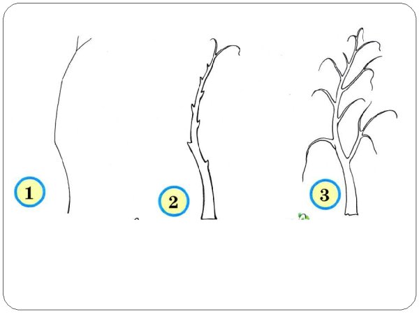 Набросок пейзажа с берёзами