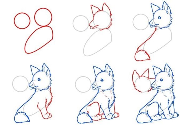 Волк контур