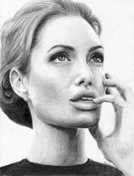 Анджелина Джоли контурный портрет