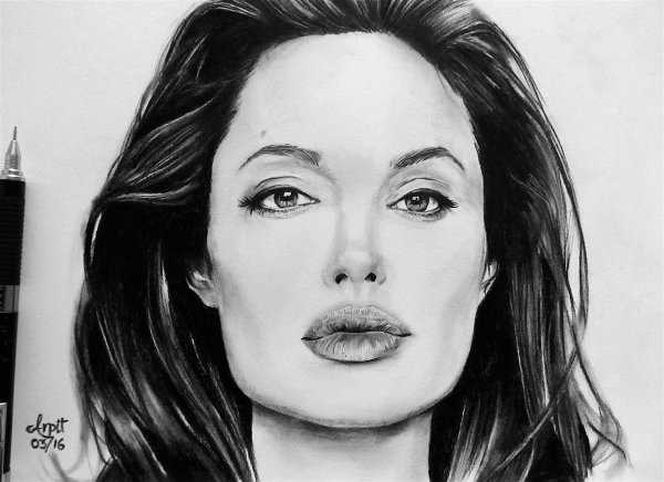 Анджелина Джоли портрет карандашом