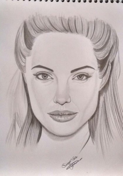 Портрет Анджелины Джоли карандашом поэтапно