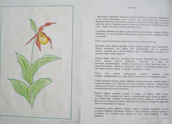 Венерин башмачок черно белая