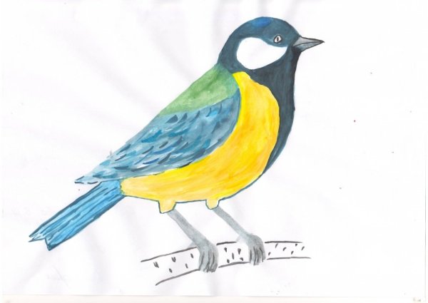 Рисование синички