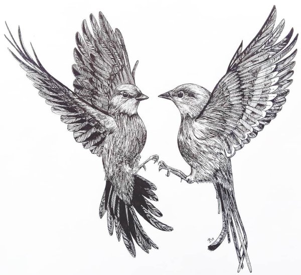 Птички эскиз