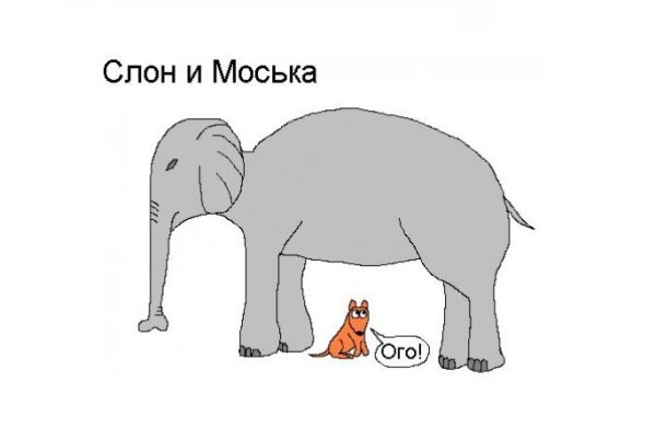 Слон и моська рисунок