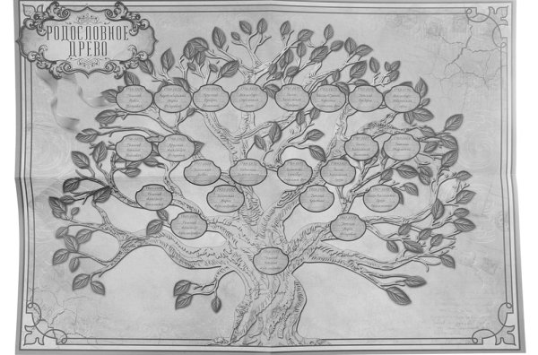 Шежере родословная