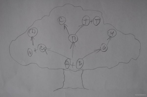 Древо семьи