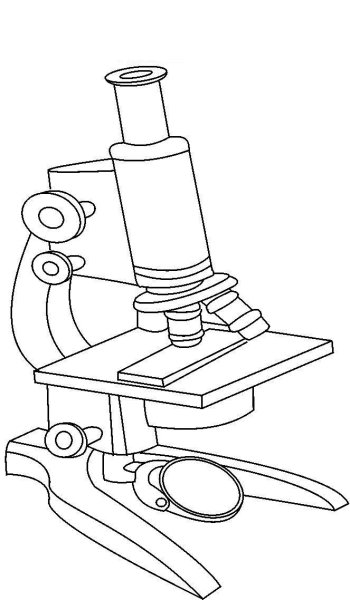 Микроскоп рисунок