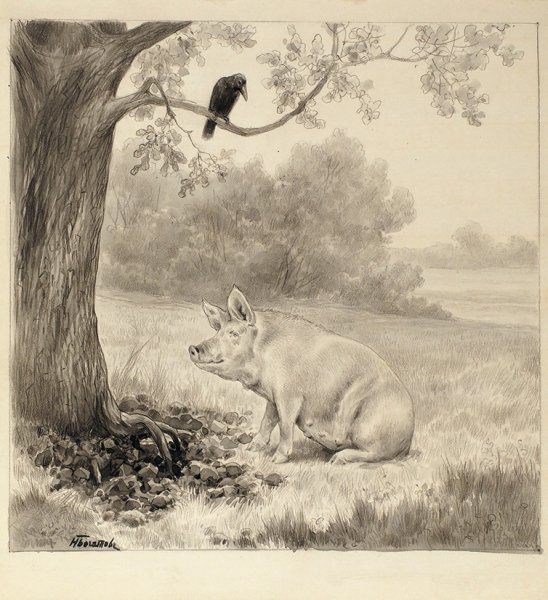 Свинья под дубом раскраска