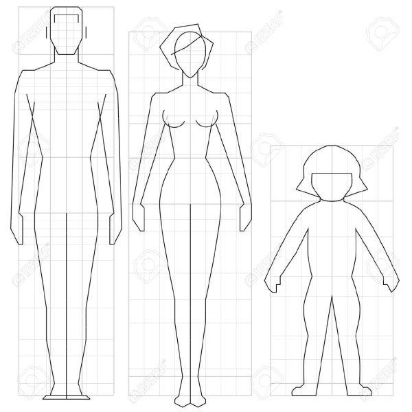 Пропорции человека в полный рост