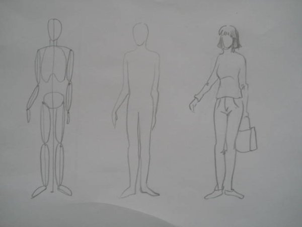 Пропорции человека в полный рост 7 класс