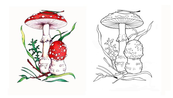 Мухомор карандашом для детей