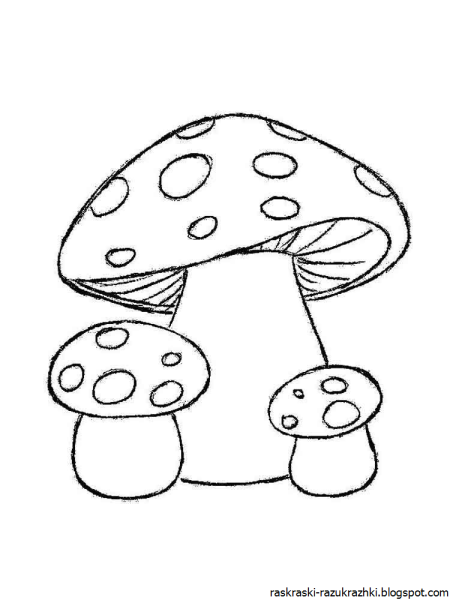 Мухомор карандашом