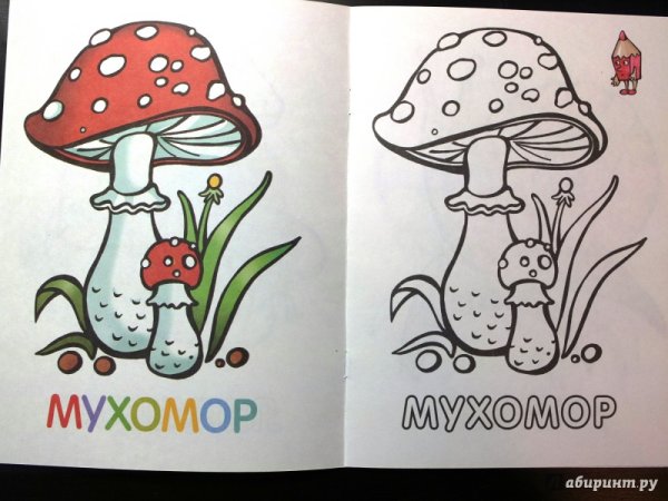 Мухомор карандашом