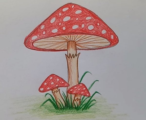 Грибы тату эскиз