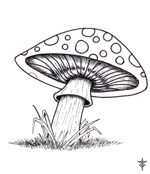 Нарисовать мухомор карандашом поэтапно для детей