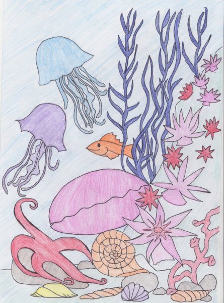 Рисование морские обитатели