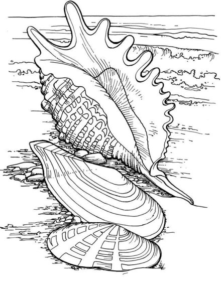 Морские раскраски красивые