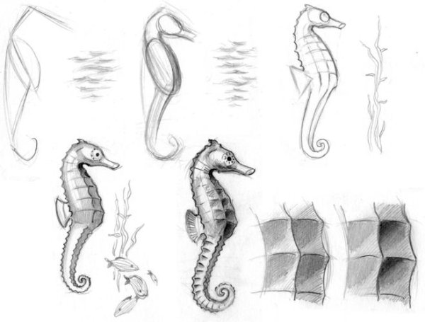 Как нарисовать морского конька поэтапно