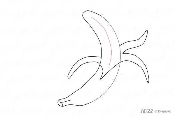 Фрукты простым карандашом