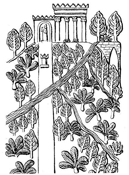 Висячие сады Семирамиды раскраска