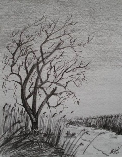 Рисунок осень