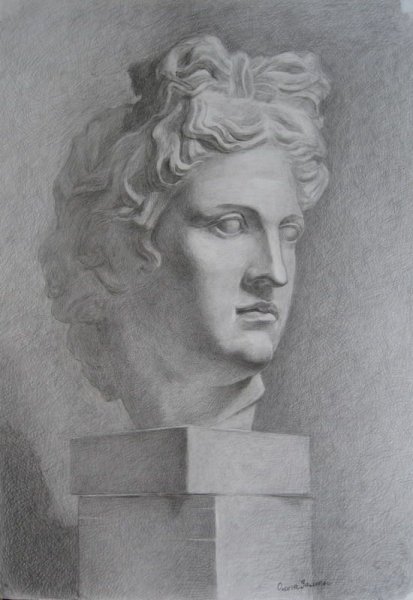 Аполлон Бельведерский голова гипс