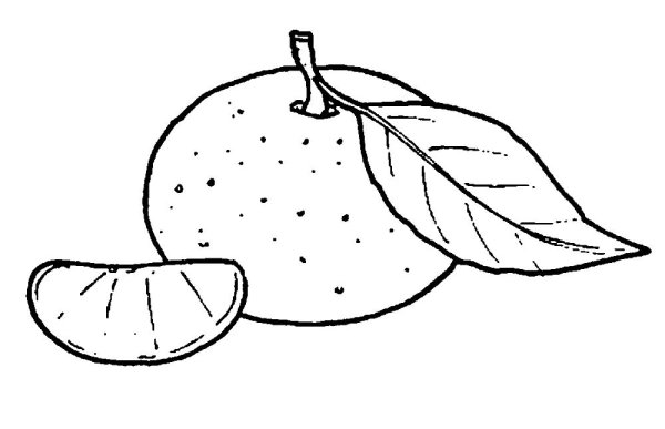 Мандарин раскраска для детей