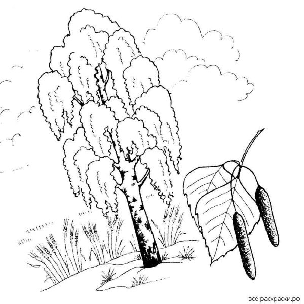 Стилизованная береза