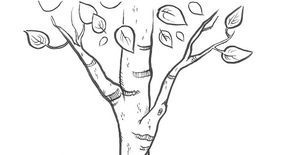 Берёза рисунок карандашом