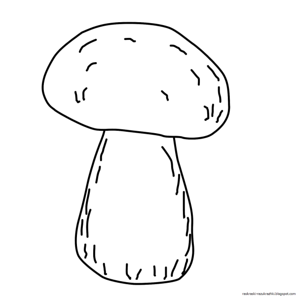 Рисунки грибов карандашом