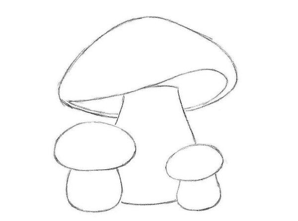 Рисунки грибов карандашом