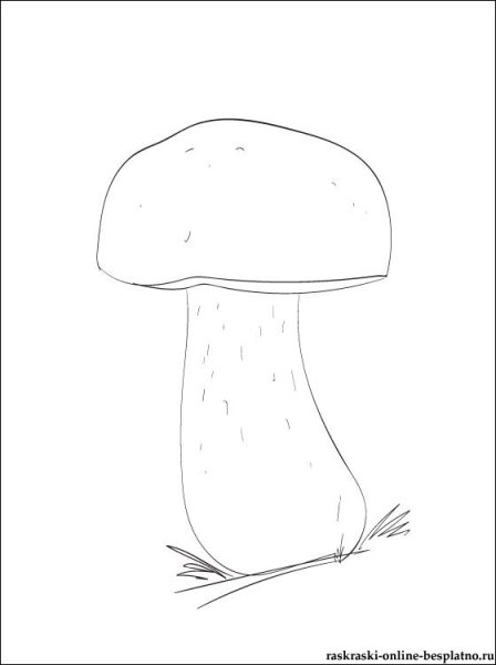 Белый гриб Боровик раскраска