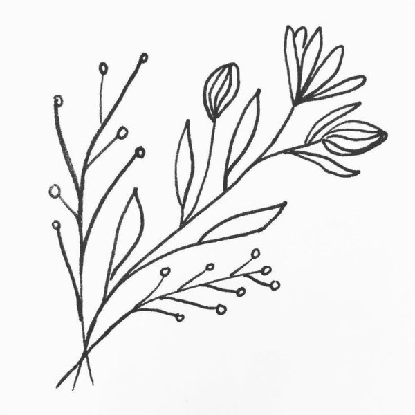 Веточка нарисованная