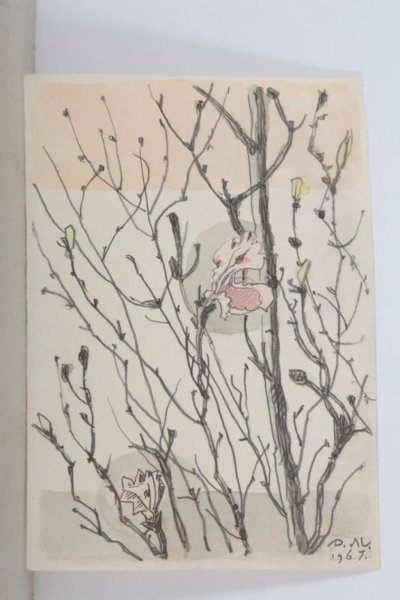 Багульник карандашом