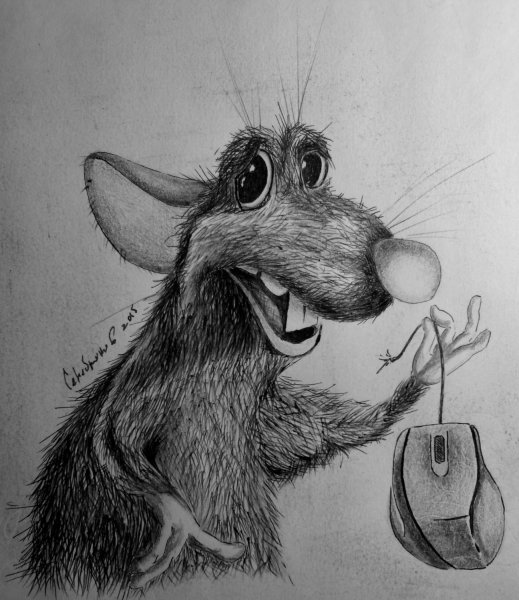 Крыса рисунок