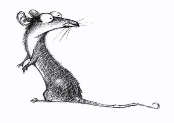 Крыса рисунок