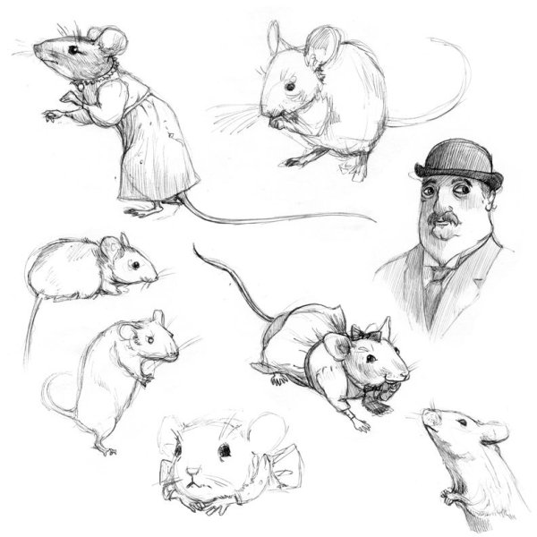 Легкий набросок крысы
