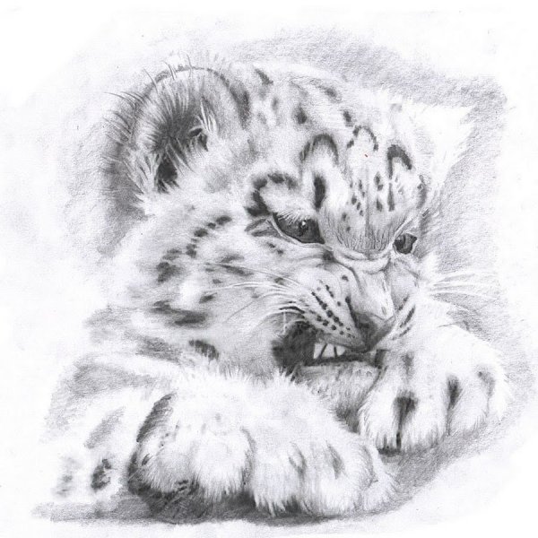 Барс тату эскизы