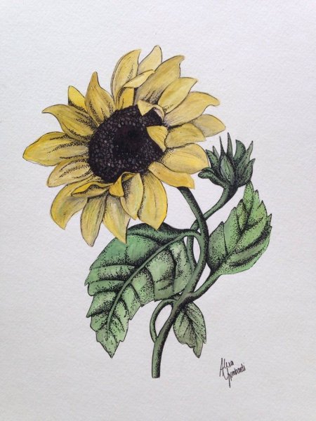 Тату подсолнух