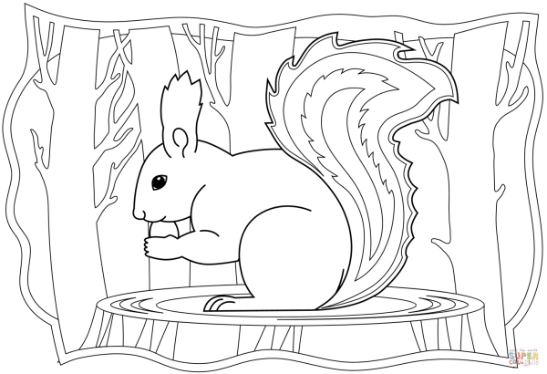Раскраска по сказке о царе Салтане белка