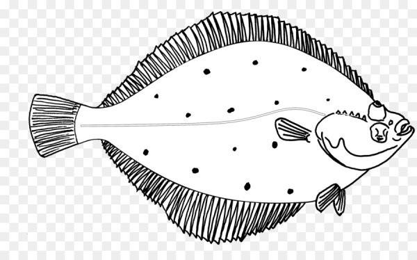 Камбала раскраска