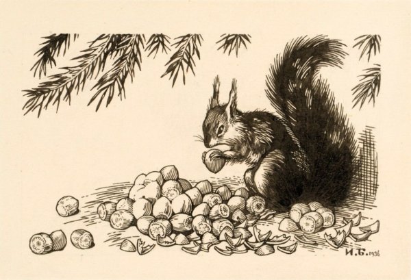 Белочка из сказки Пушкина иллюстрации