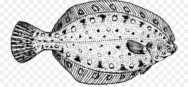 Скат и камбала