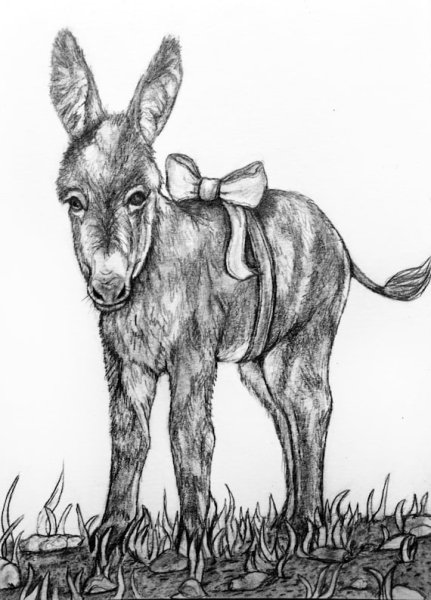 Осел для срисовки